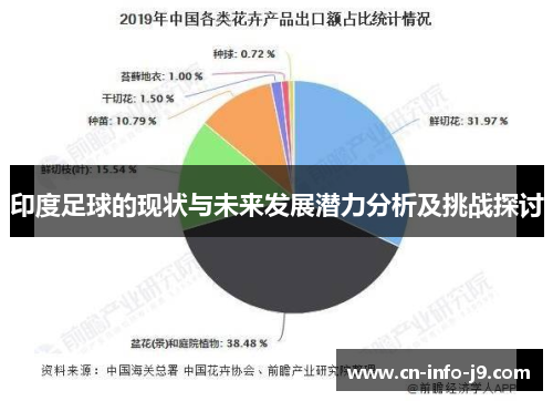 印度足球的现状与未来发展潜力分析及挑战探讨