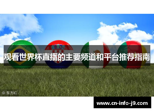 观看世界杯直播的主要频道和平台推荐指南