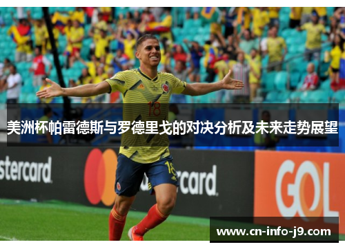 美洲杯帕雷德斯与罗德里戈的对决分析及未来走势展望
