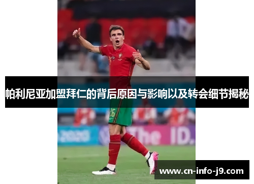 帕利尼亚加盟拜仁的背后原因与影响以及转会细节揭秘