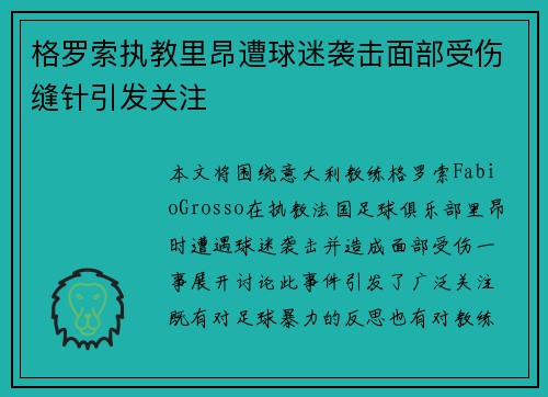 格罗索执教里昂遭球迷袭击面部受伤缝针引发关注